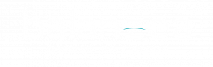 Balanzea Logo Footer